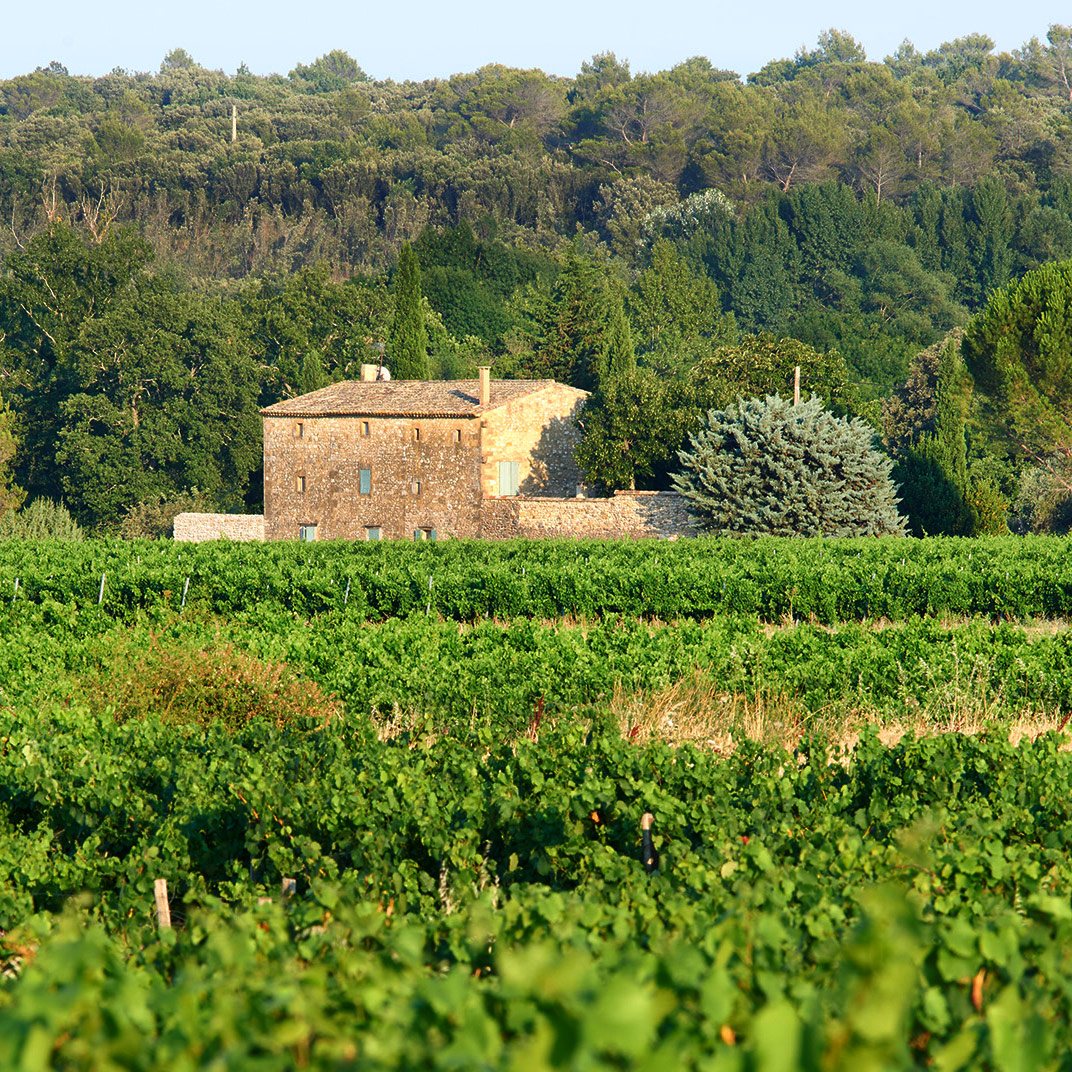La Maison D'Ulysse