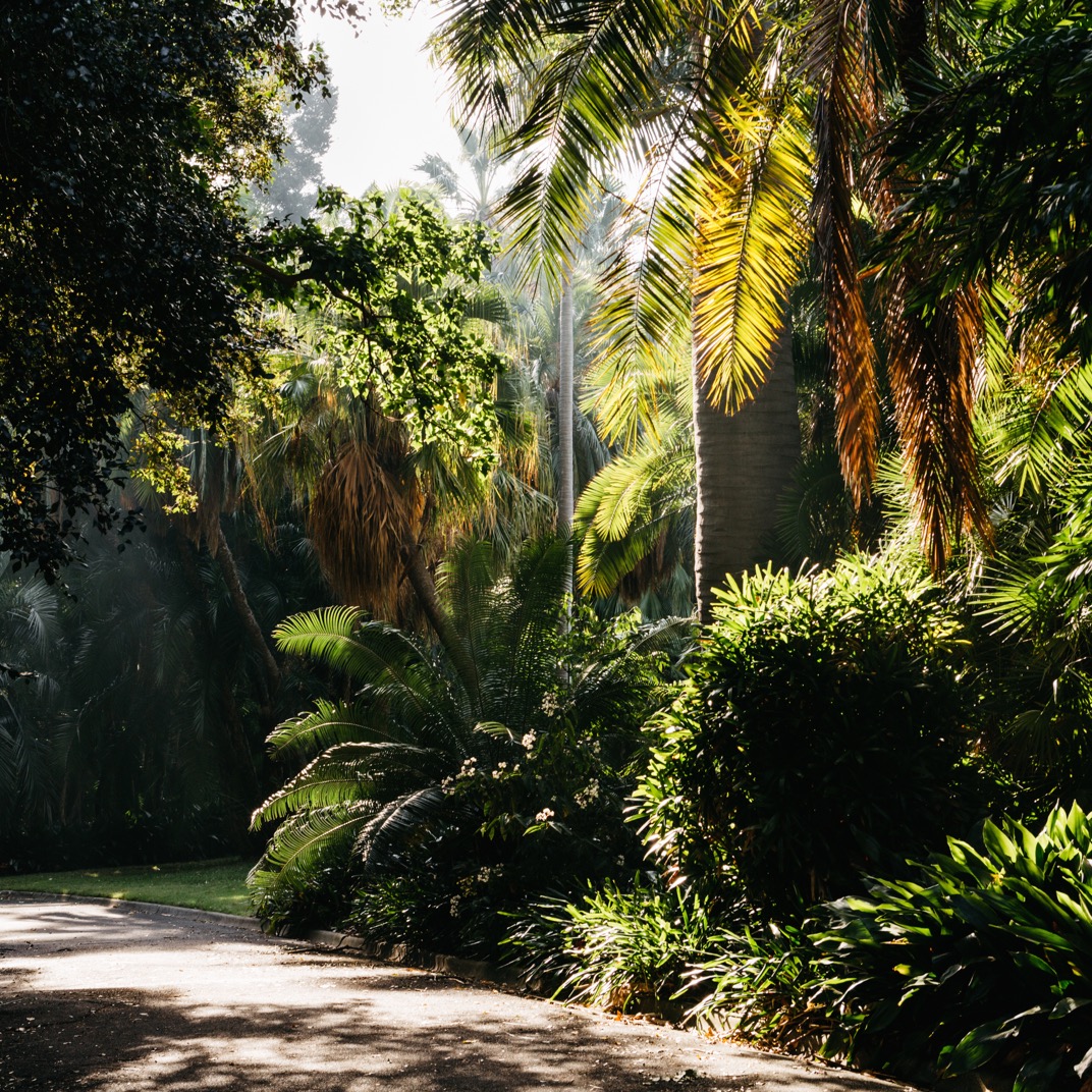 United Places Botanic Gardens