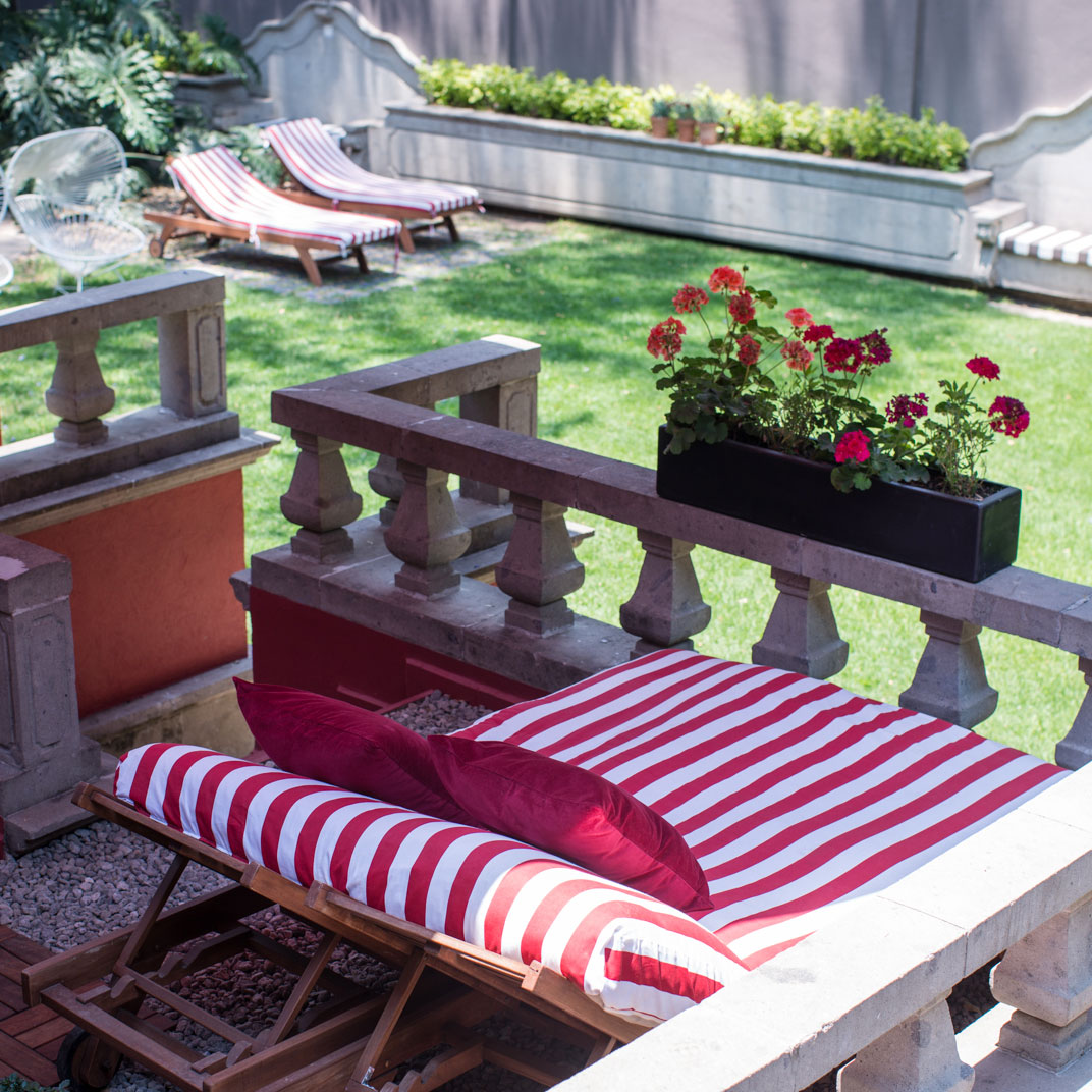 Pug Seal Coyoacan Boutique B&B