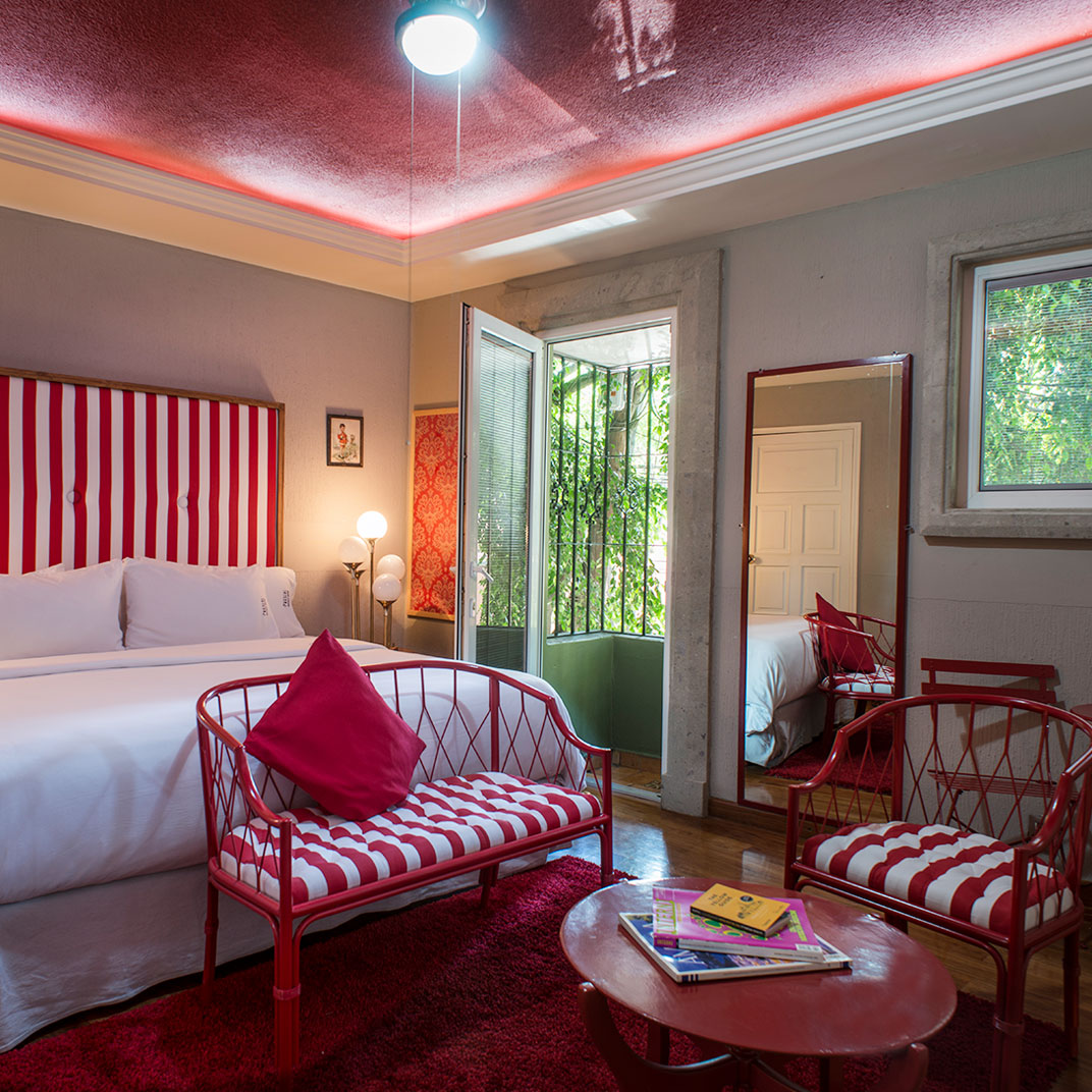 Pug Seal Coyoacan Boutique B&B
