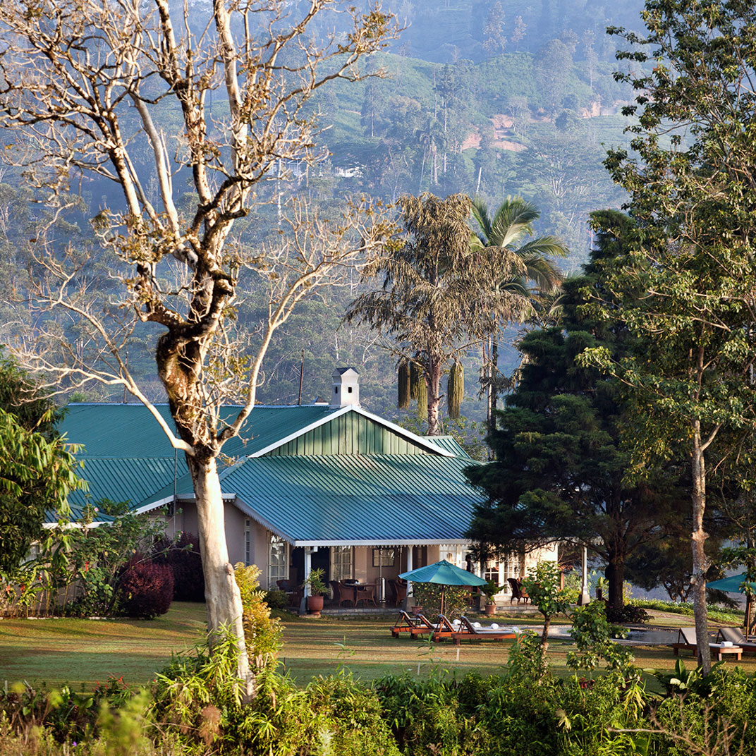 Ceylon Tea Trails – All Inclusive