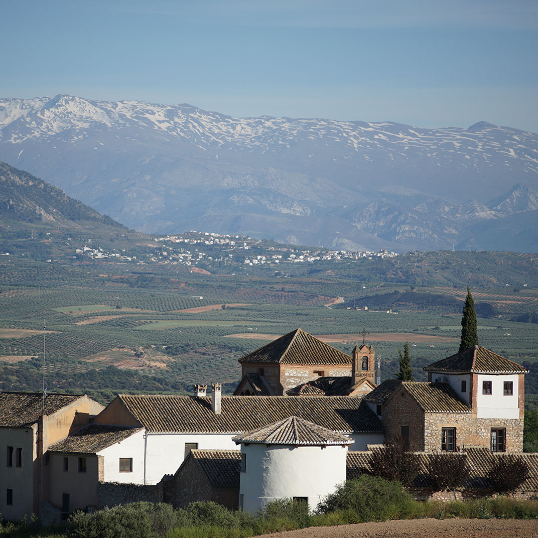 Hotel Cortijo del Marqués