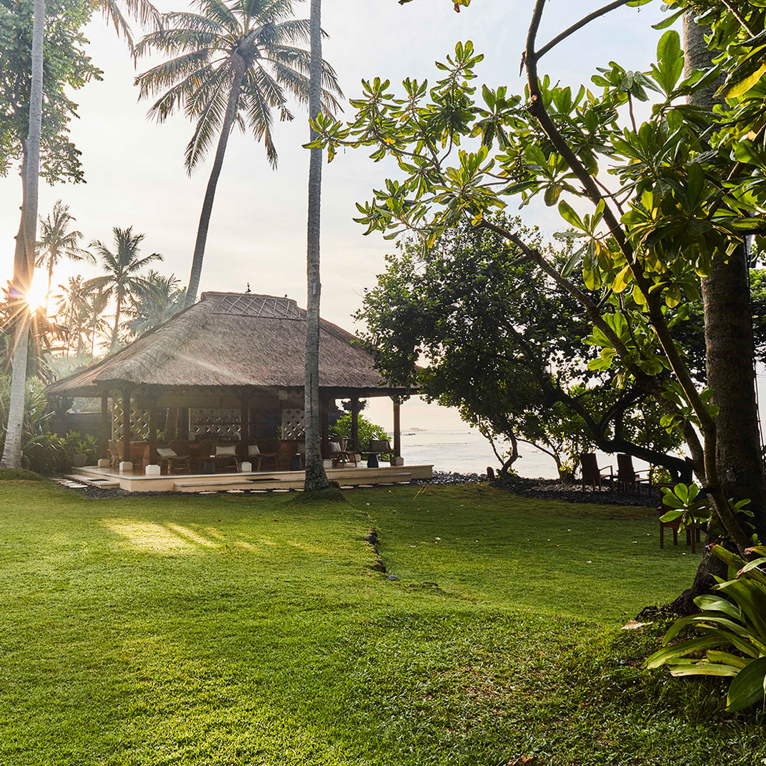 Alila Manggis