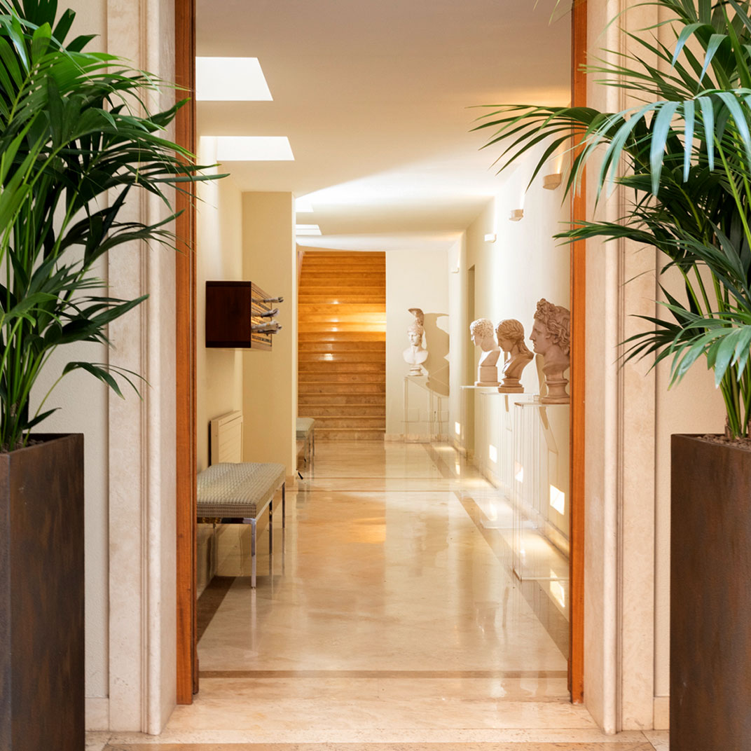 Palm Suite