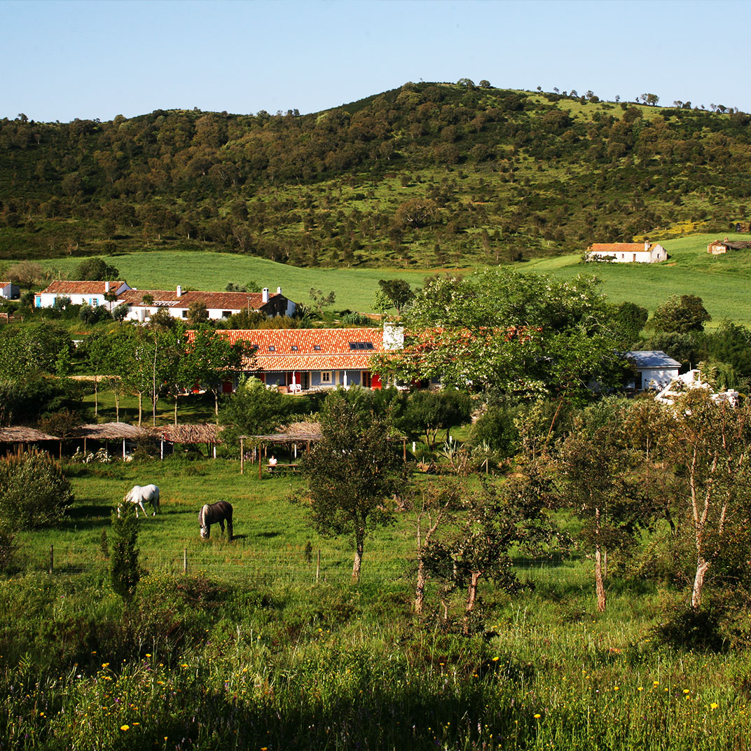 Herdade da Matinha Country House & Restaurant
