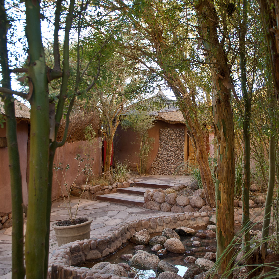 Awasi Atacama