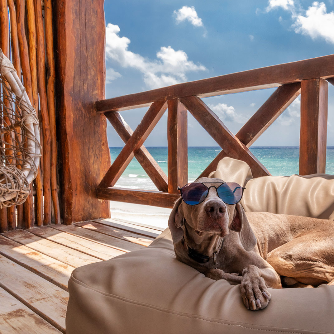 Hotelito Azul Tulum