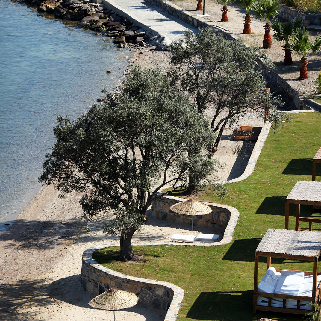 Med-Inn Boutique Hotel