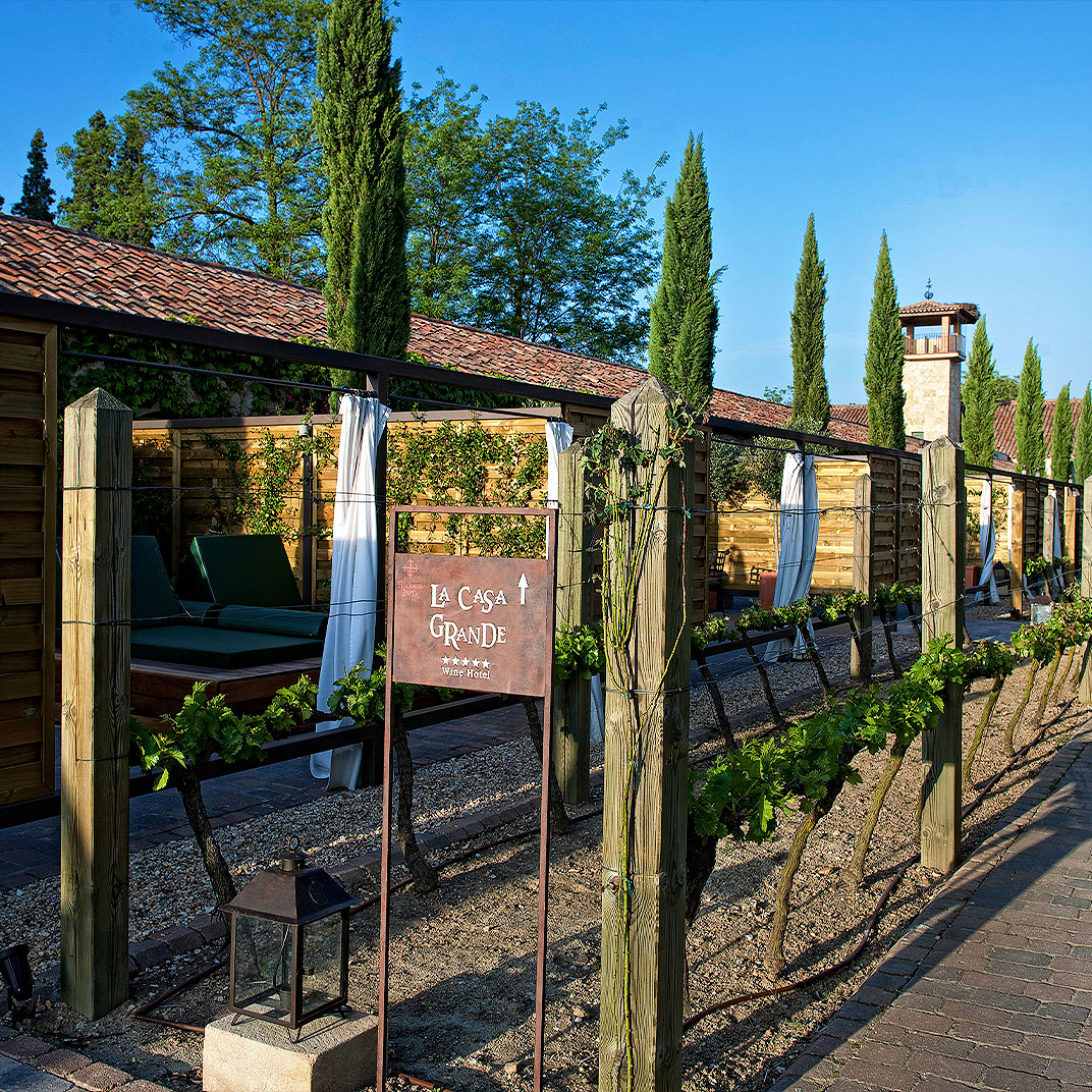 Hacienda Zorita Wine Hotel & Spa