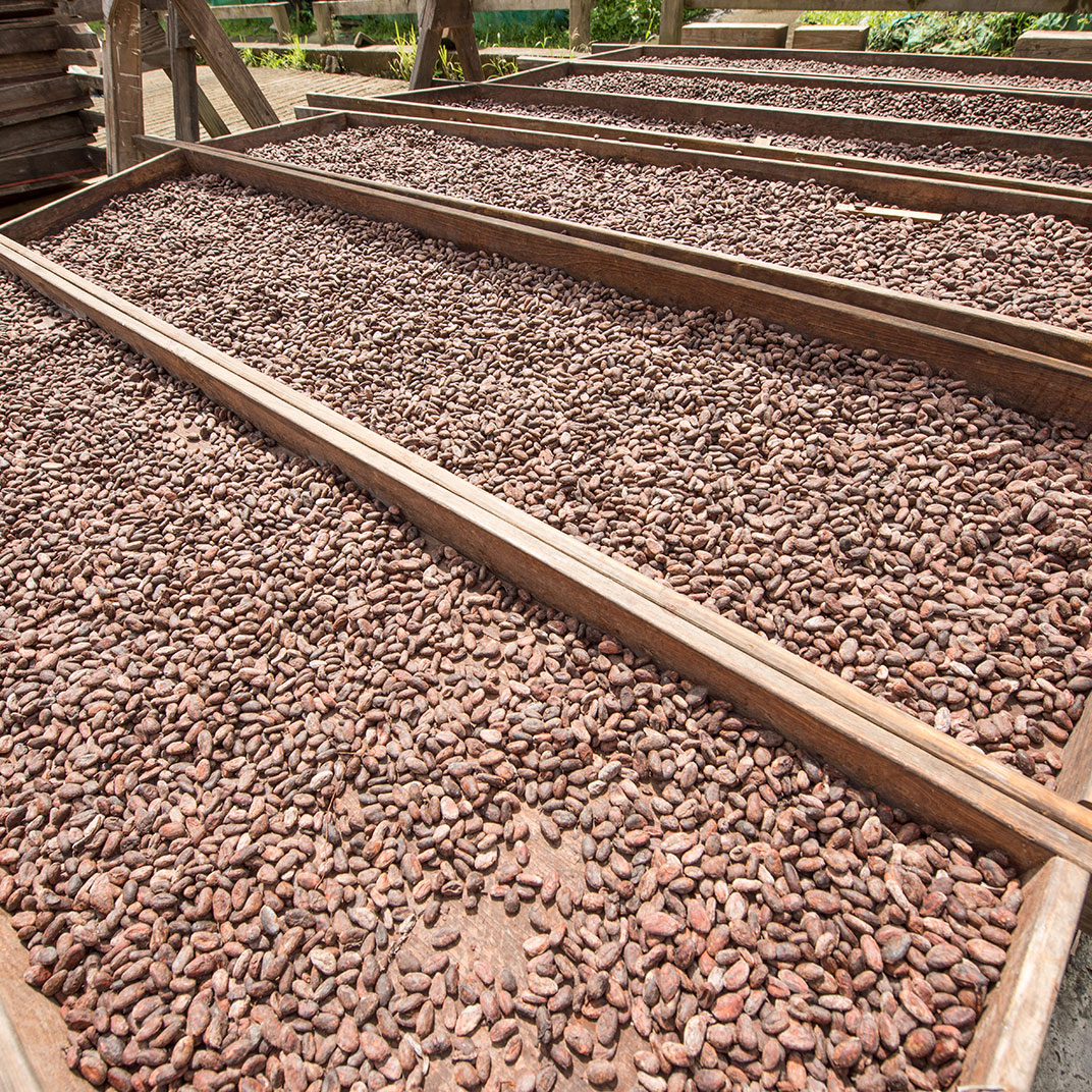 Rabot Eco-Escape by Hotel Chocolat