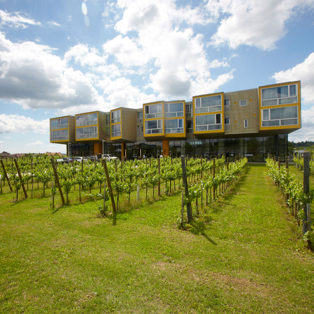 LOISIUM Wine & Spa Resort Langenlois